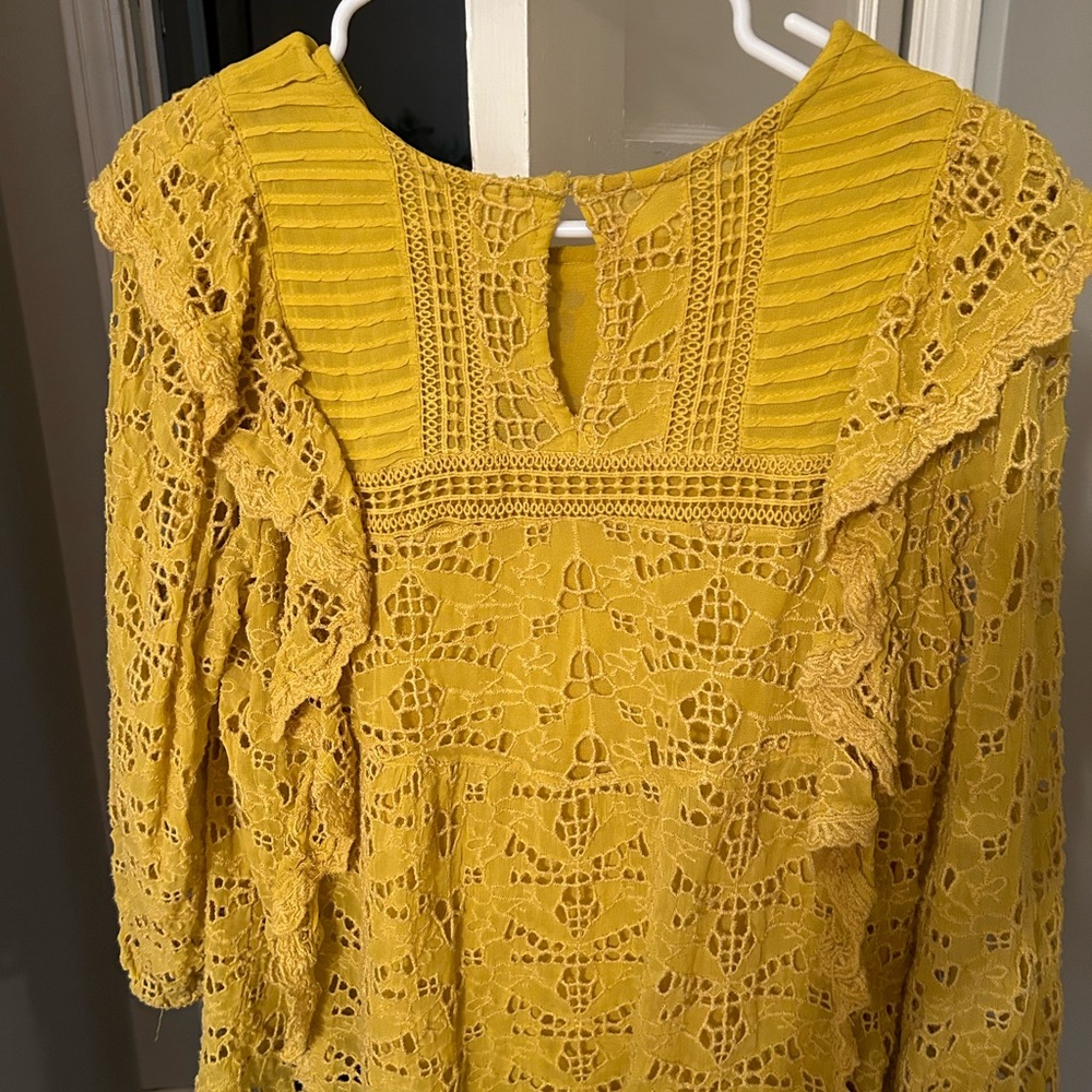Anthropology top